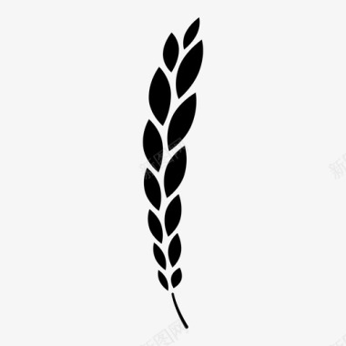有机小麦月桂枝叶图标图标