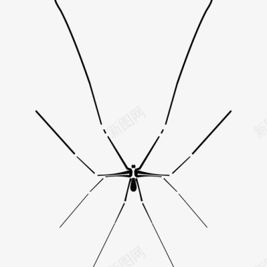 大理石地窖蜘蛛蜘蛛指南虫子指南图标图标