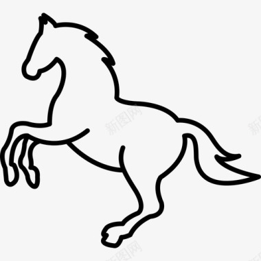 白色跳马概述动物马2图标图标