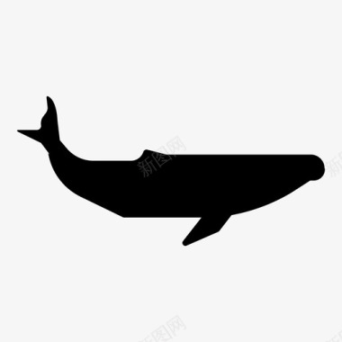 座头鲸大型哺乳动物海洋生物图标图标