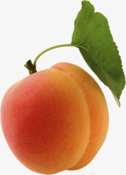 桃子油桃水蜜桃水果透明8水果蔬菜苹果草莓西素材