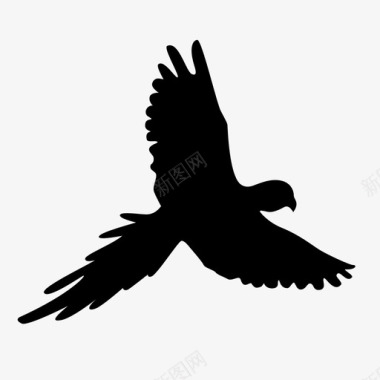 会飞的鹦鹉秃鹫热带图标图标