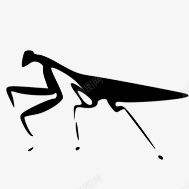 保护色螳螂螳螂图标图标