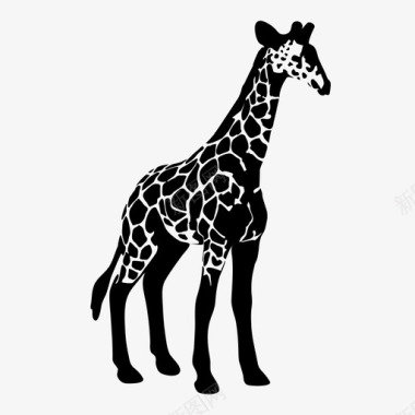 非洲野生动物长颈鹿图标图标