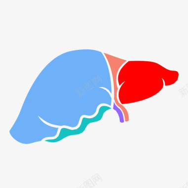 人体架构肝脏解剖学身体图标图标