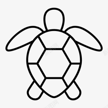 爬行动物海龟水乌龟图标图标