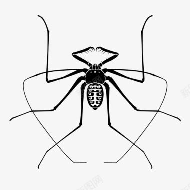 鞭状蜘蛛无尾鞭蝎子小图标图标