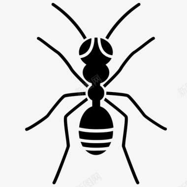 昆虫设计昆虫动物蚂蚁图标图标