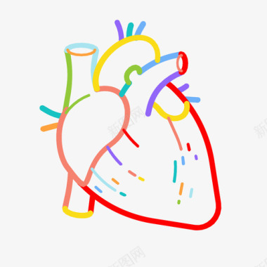 动脉心脏解剖学动脉图标图标