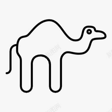骆驼骆驼图标图标