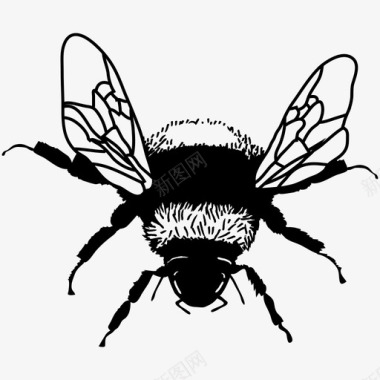 害虫蜜蜂花粉害虫图标图标