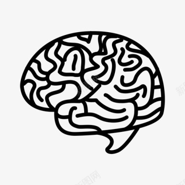 脑小脑大脑图标图标