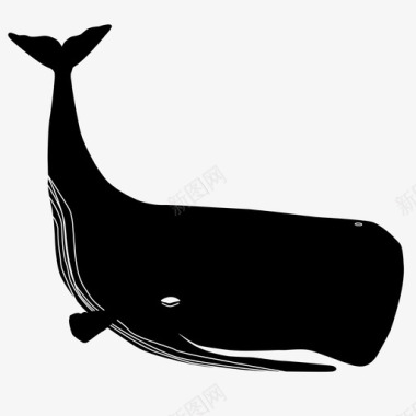 抹香鲸水海洋生物图标图标