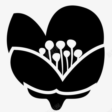 装饰光圈茉莉花茎雄蕊图标图标
