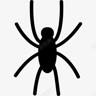 蜘蛛黑外形动物科技图标图标