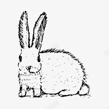 白色光发散兔子野生动物白色图标图标