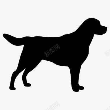 狗猎犬宠物狗图标图标