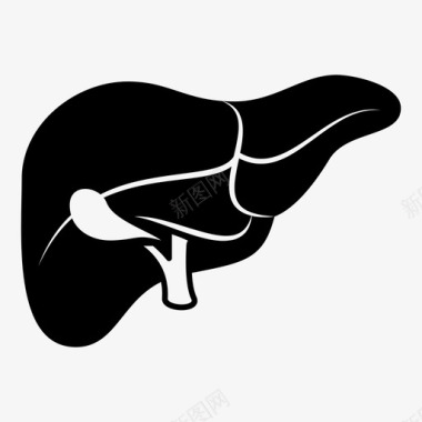 解剖学肝脏器官医学图标图标