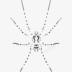 托德斯斯克托德斯蜘蛛。图标高清图片