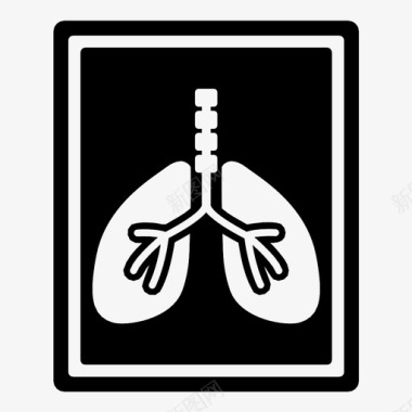 照片肺器官有机体图标图标
