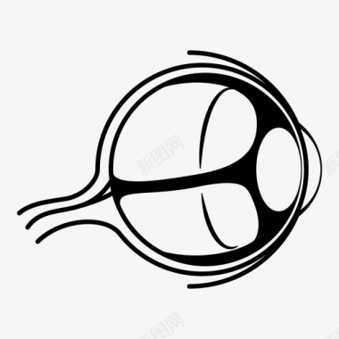 解剖学眼球视力感官图标图标