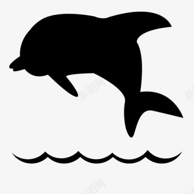 海豚海豚跳跃哺乳动物图标图标