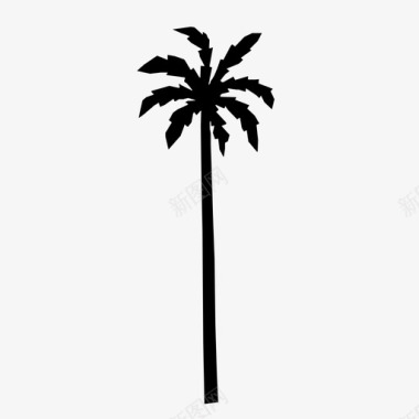 棕榈树热带阳光图标图标