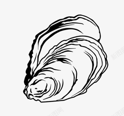 蛤蜊牡蛎贝壳海鲜图标图标