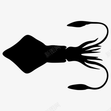 实物鱿鱼鱿鱼动物身体图标图标