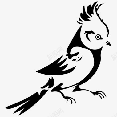 鸟梳羽毛鸟动物凤头鹦鹉图标图标