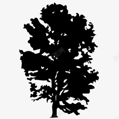 江边垂柳垂柳树木坚实的偶像图标图标