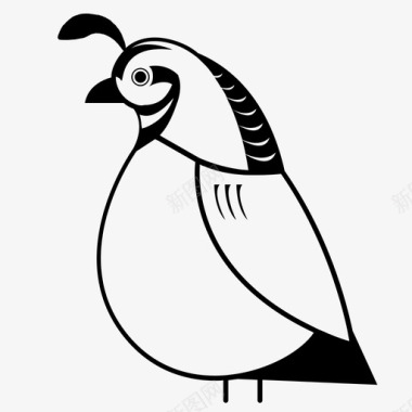 鸟羽毛鹌鹑动物鸟图标图标