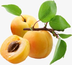 桃子油桃水蜜桃水果透明11水果蔬菜苹果草莓素材