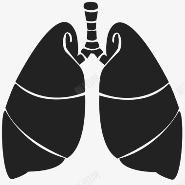 肾脏器官肺空气氧气图标图标