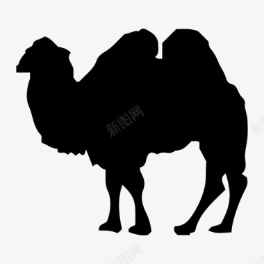 骆驼骆驼动物图标图标