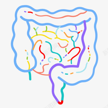 五花肉肠肠解剖学消化图标图标