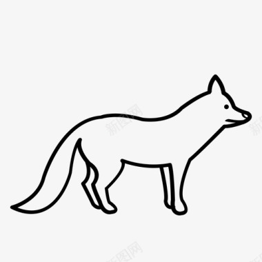 狡猾狐狸狐狸动物哺乳动物图标图标