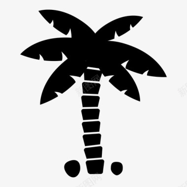 棕榈树热带天堂图标图标