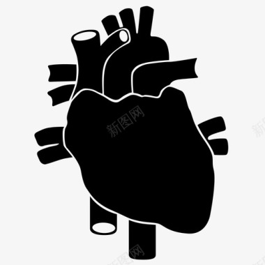 心脏监护仪心脏解剖学心脏瓣膜图标图标