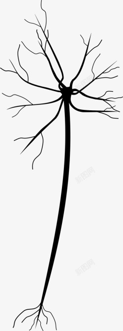 静脉神经神经元静脉树图标高清图片