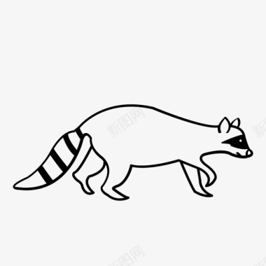 产品动物实拍采购产品浣熊动物哺乳动物图标图标