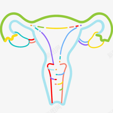 坐着的女性子宫解剖学生育图标图标