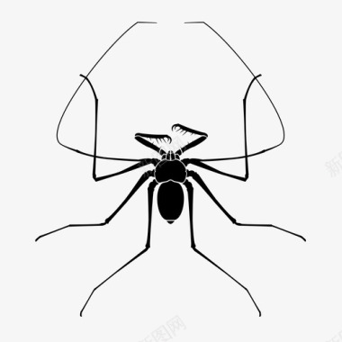 鞭状蜘蛛无尾鞭蝎子番石榴图标图标