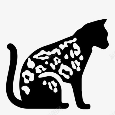 猫小猫喵喵图标图标