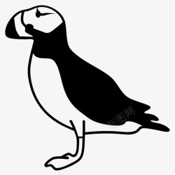 野生海鸟海雀动物鸟图标高清图片