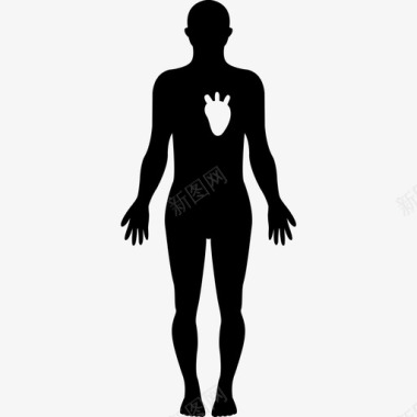 心脏医疗身体部位的白色图像的人体轮廓图标图标