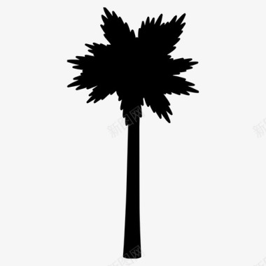 树林棕榈树到树林里去图标图标