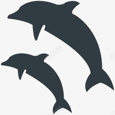 海豚夏日凉爽的标图标图标