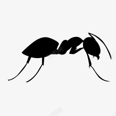 蚂蚁动物红色图标图标