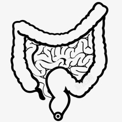 营养吸收肠消化食物图标高清图片